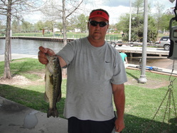 Lee Hillman